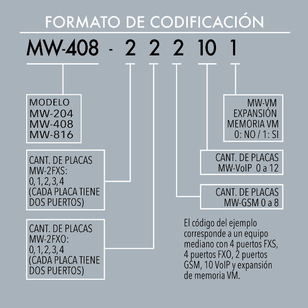 Formato de codificación